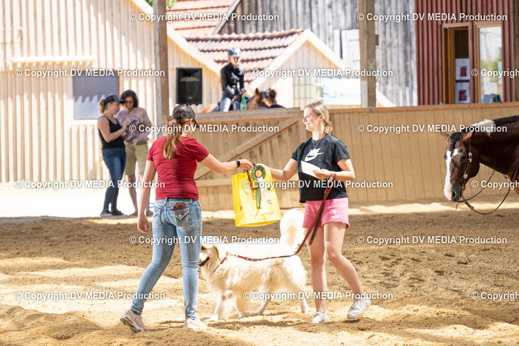 DSC00057 | dv-media-shop - Realisiert mit Pictrs.com