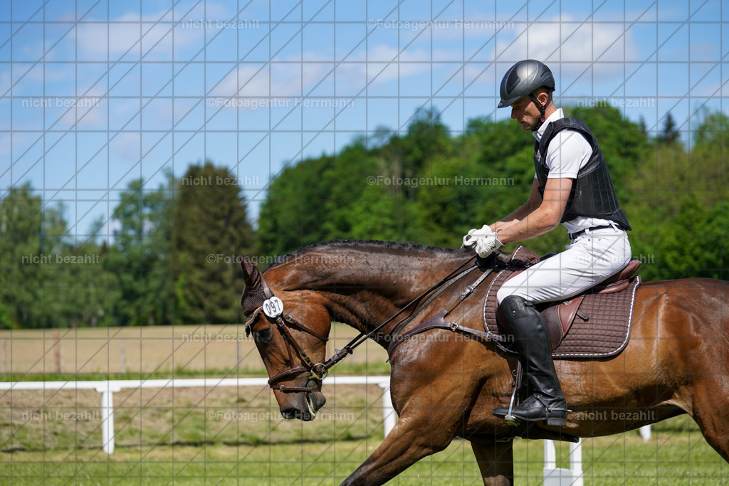 20240518-FAH03193 | rbilder, Turnierfotografen ayern, Fotoagentur Herrmann, Geländeturnier, Springbilder, Dressurbilder, Jungpferdefotograf