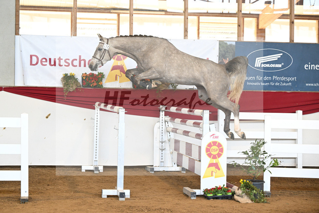 Kat-Nr. 47 Signorita v. Mattias_Lindner_16251109 | hf-fotografie - Realizzato con Pictrs.com
