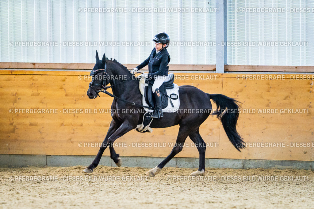 DSC04743 | Pferdegrafie