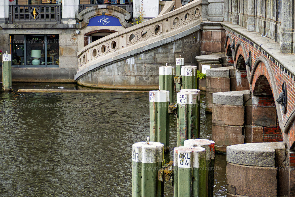 P1450465 | beatekidd-fotografie - Realisiert mit Pictrs.com