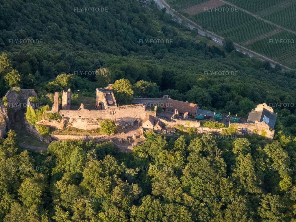 Luftbild: Burgruine Madenburg aus Westen in Eschbach im Bundesland Rheinland-Pfalz in Deutschland. Foto: P7130223.jpg vom 13.07.2017 durch Werner Riehm/FLY-FOTO.de – Madenburg