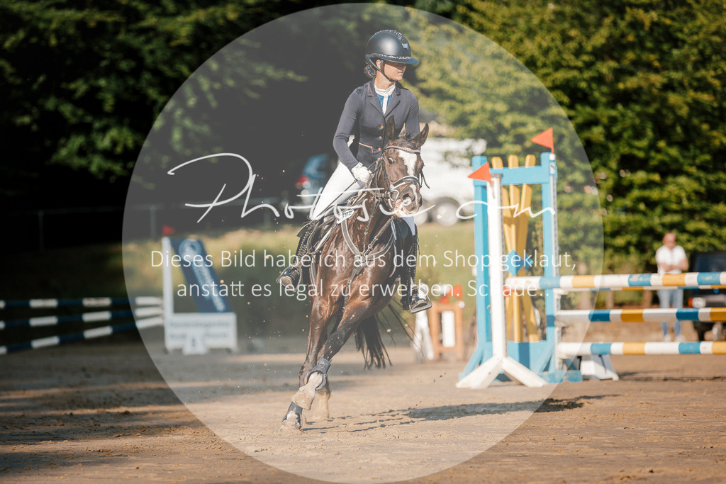 3I6A6127 | Stimmungsvolle Portraits und Reitsportfotografie im Ruhrgebiet und im Münsterland.

Pferdefotografie, Hundefotografie, Tierfotografie, Reportagen, Portraits von Tier und Mensch, Turnierfotografie in Bochum, Recklinghausen, Marl, Haltern am See, Dülmen.. - Realisiert mit Pictrs.com