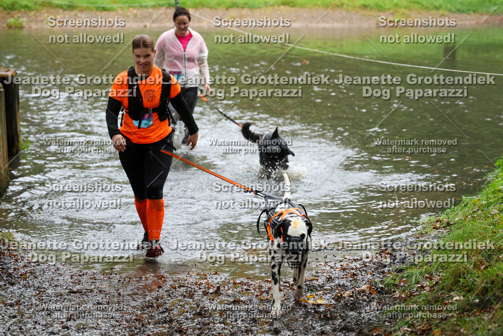 Dog Paparazzi -  SD1026-8215 | Dog Paparazzi Jeanette Grottendiek Fotografie & Videografie - Realisiert mit Pictrs.com