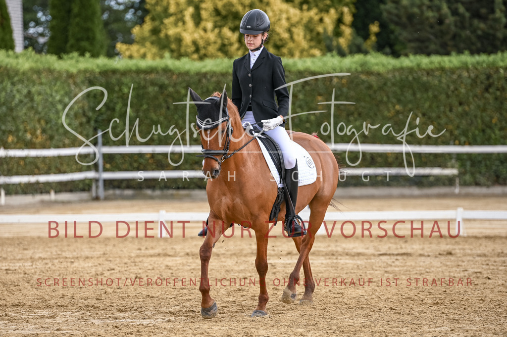 Schugtsche-Aluta25-43.EDressur -185 | Schugtsche Fotografie - Realisiert mit Pictrs.com