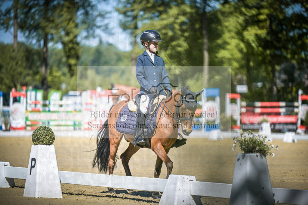 DOS_8266 | Entdecke hochwertige Reitturnierfotos von Foto Oger. Professionell, emotional und authentisch – jetzt Lieblingsmomente im Shop bestellen.Deutschlandweite Turnierfotografie. - Realisiert mit Pictrs.com