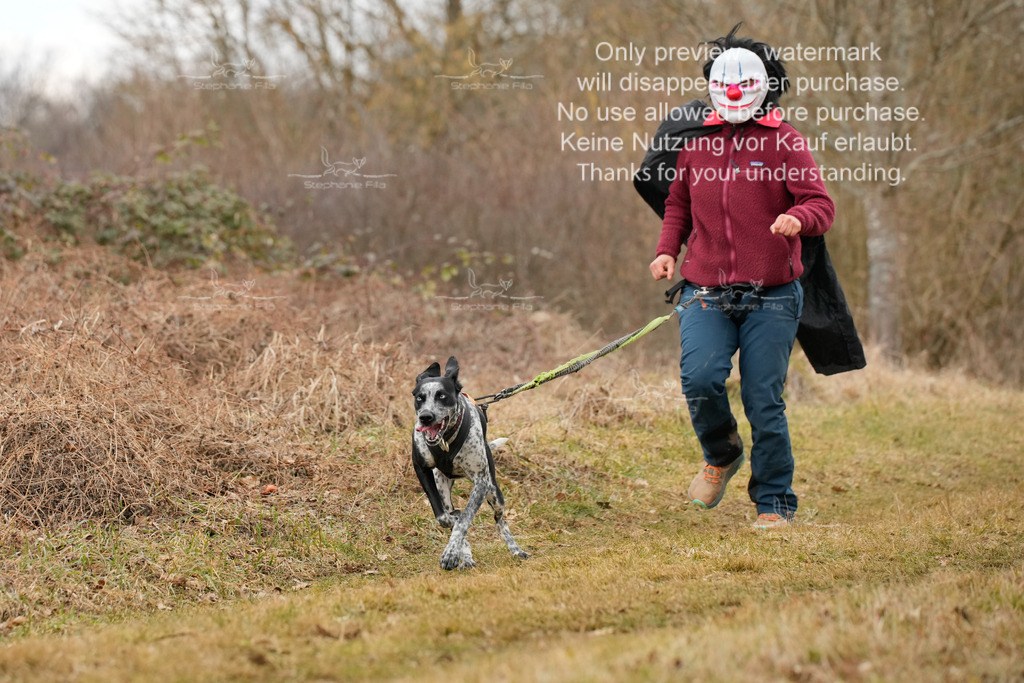 3Fasching-1 | stephaniefillaphotographie - Realisiert mit Pictrs.com