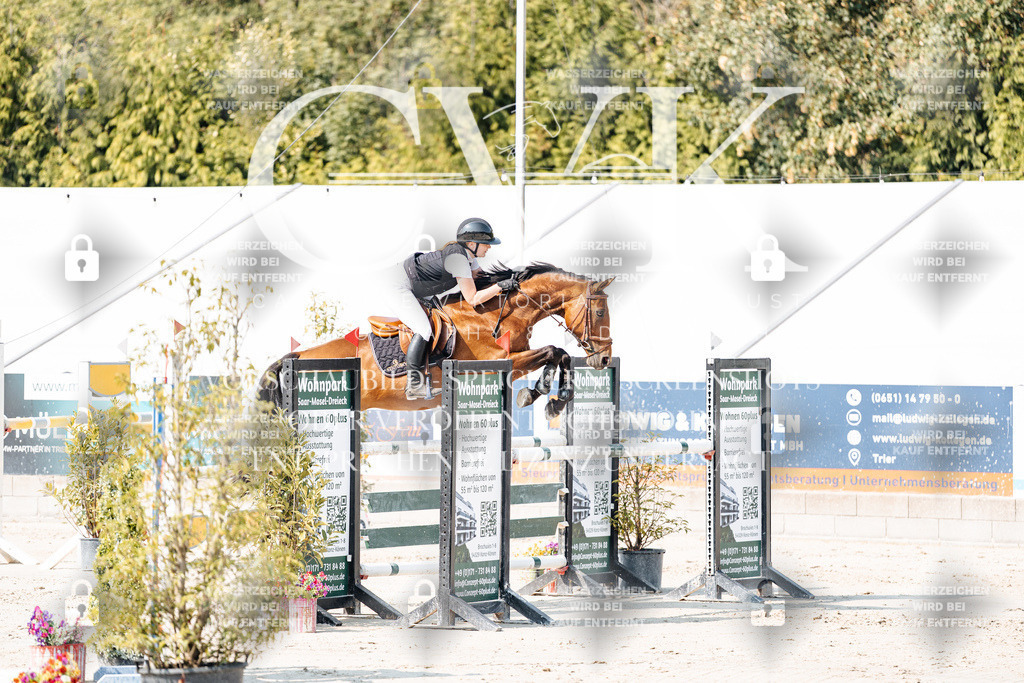 CK902402 | Turnierfotografie Pferdefotografie Trier Rheinland-Pfalz Pferdesport Reitsport Tierfotografie Sportfotografie Pferdevideo Pferdevideografie Equestrianvideography equestrianphotography  - Realisiert mit Pictrs.com