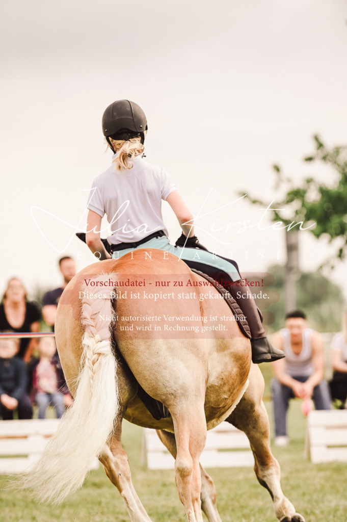 DSC_5237 | Pferde- und Turnierfotografie in Westsachsen. Pferdeportraits, Auftragszeichnungen und intuitive Kunst.