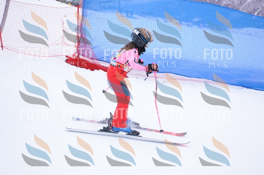 DSC_7929 | holidayphoto