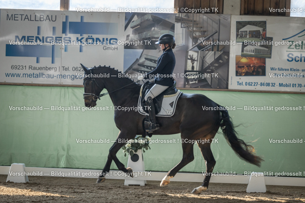_D5A8500 | Emotionale Pferde- & People-Fotografie rund um Heidelberg, Leimen & Umgebung. Natürliche Fotos von Pferd, Mensch & Familie. Jetzt Termin sichern!