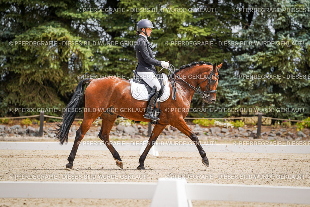 DSC03680 | Pferdegrafie