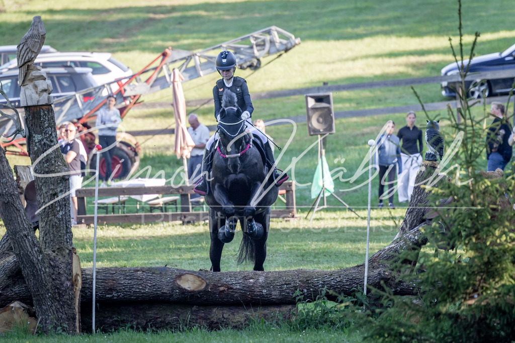20260523-_3LI5896 | Tierfotografie Pferde, Hunde, Katzen, Haustiere.
Turnierfotografie Reitturniere, Reiten, Springreiten, Dressur in Hanau, dem Main-Kinzig-Kreis und dem Rhein-Main- Gebiet um Frankfurt