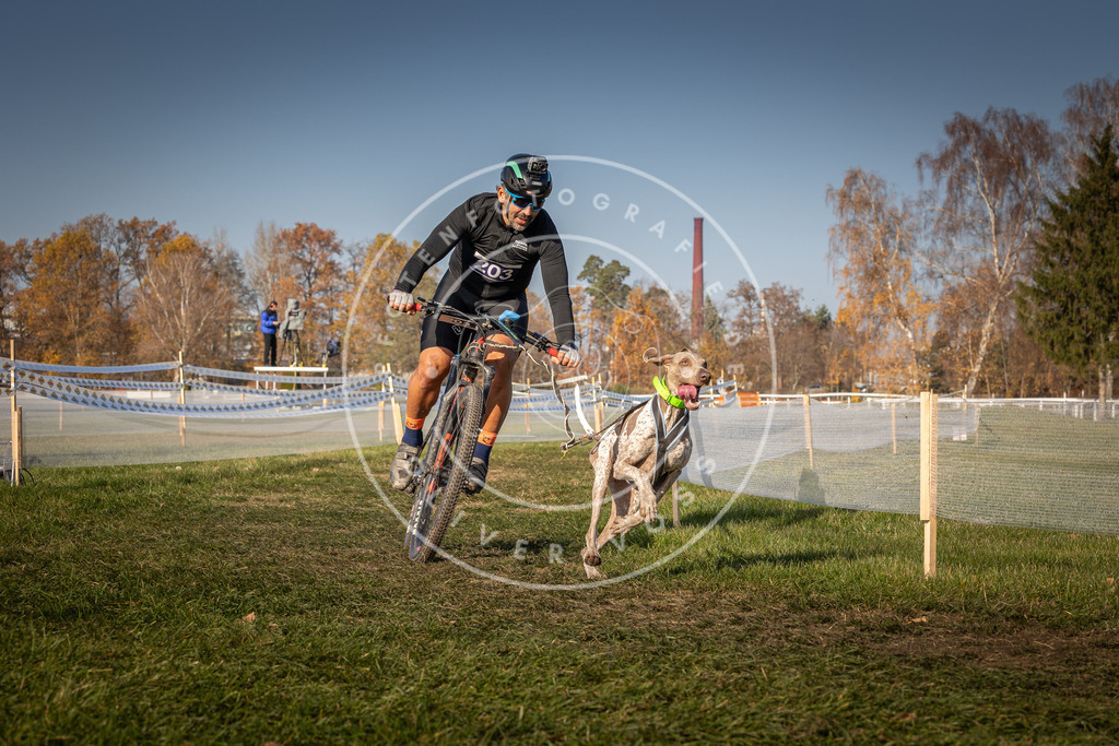 CaniXpix_0L8A7834 | Hundefotografie, Tierfotograf, Pfotenfotografie, Fotoshooting Hund, Hunde Portrait, Hundesport, Hundeportraits, Heideshooting, Hunde, Sportfotograf, Hundefotograf, Turnierhundsport, THS,  - Realisiert mit Pictrs.com