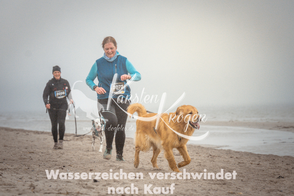 1110_ZZ97044 | kk-dogfotos
