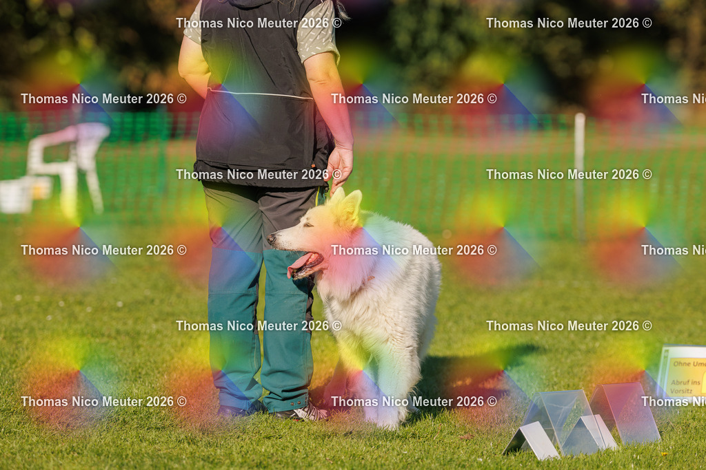 Thomas_Nico_Meuter(C)_04. Oktober 2026_223A4205 | Bild von Thomas Nico Meuter - Realisiert mit Pictrs.com