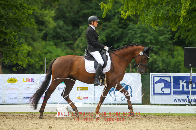 DKP40508 | Turniersportfotografie; Pferdefotografie; Dressurfotografie