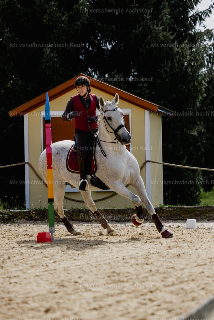 Kelly4_FHC2025-20325 | working equitationturnier fotograf videograf stoibphotography marixx film working equitation deutschland reitsport turnierfotografie eventfotografie equestrian events