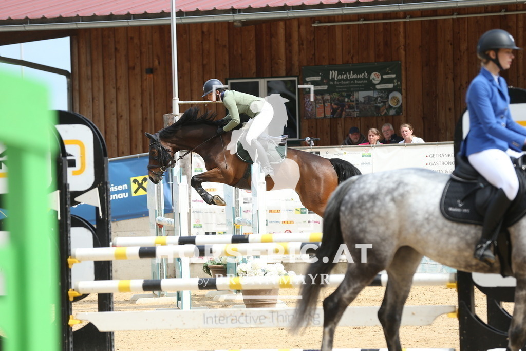 DL2Q1431 | Willkommen bei Brunnmayr - Design & Fotografie – Ihrem Spezialisten für Reitturniere und Pferdeveranstaltungen in Oberösterreich, Salzburg und Bayern! Seit über 17 Jahren sind wir leidenschaftlich dabei.