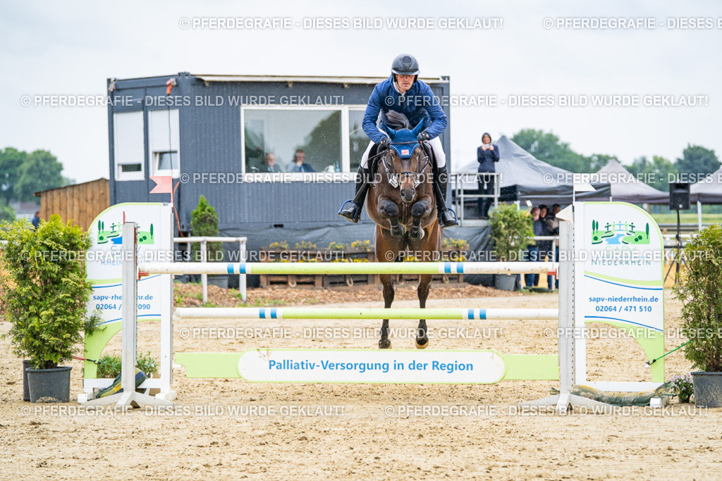 DSC09452 | Pferdegrafie