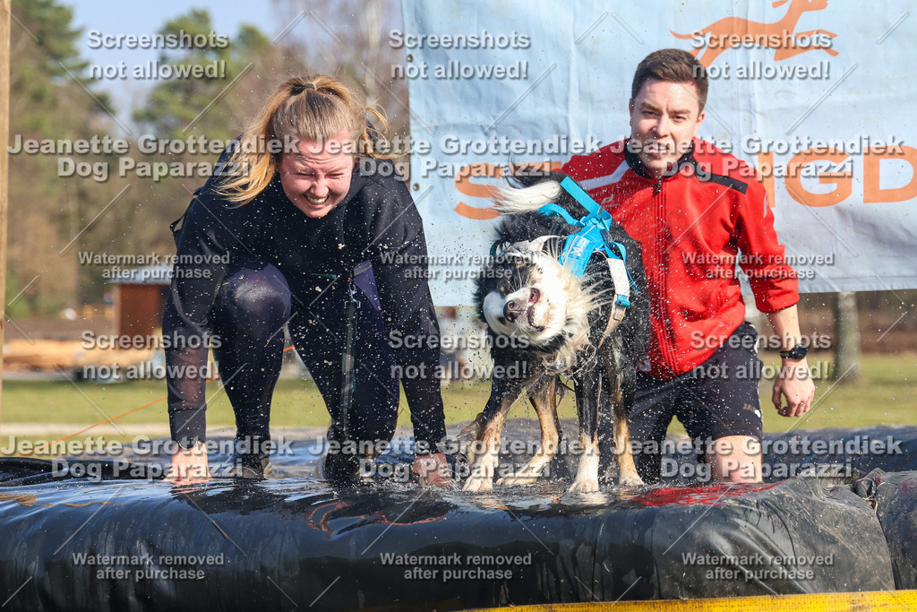 Dog Paparazzi - Strongdog North Mrz26-3075 | Dog Paparazzi Jeanette Grottendiek Fotografie & Videografie - Realisiert mit Pictrs.com