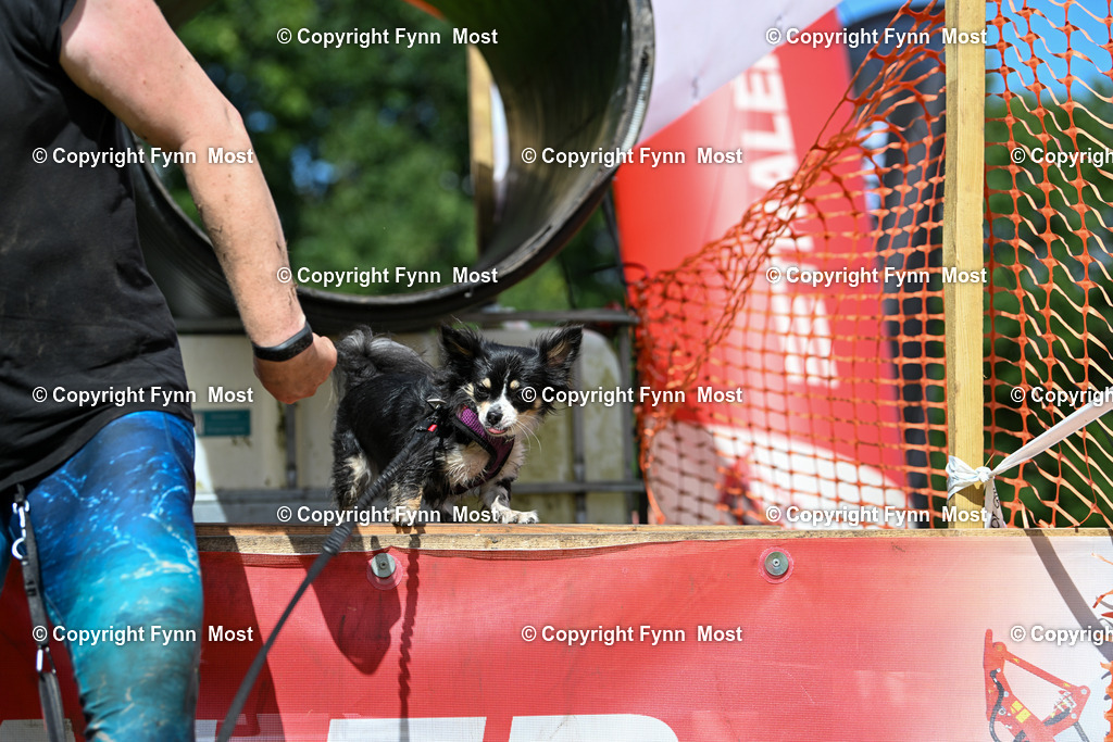 DSC_4688 | Hallo und herzlich Willkommen auf meiner Shop-Seite Fynn Most.

Ich wünsche Dir viel Spaß beim stöbern durch die Bilder, wenn Du Fragen hast oder Bilder vermisst, kannst du mir gerne eine Nachricht schreiben. - Realisiert mit Pictrs.com