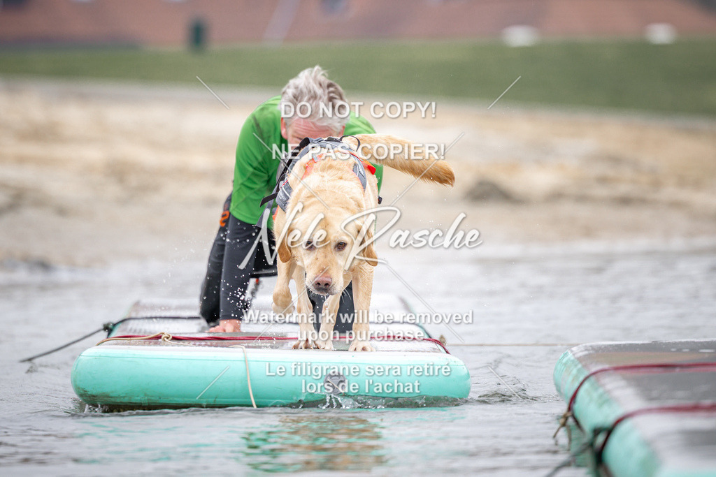 nelerasche_Hulsbeek_Sa1030-1100_664 | nelerasche