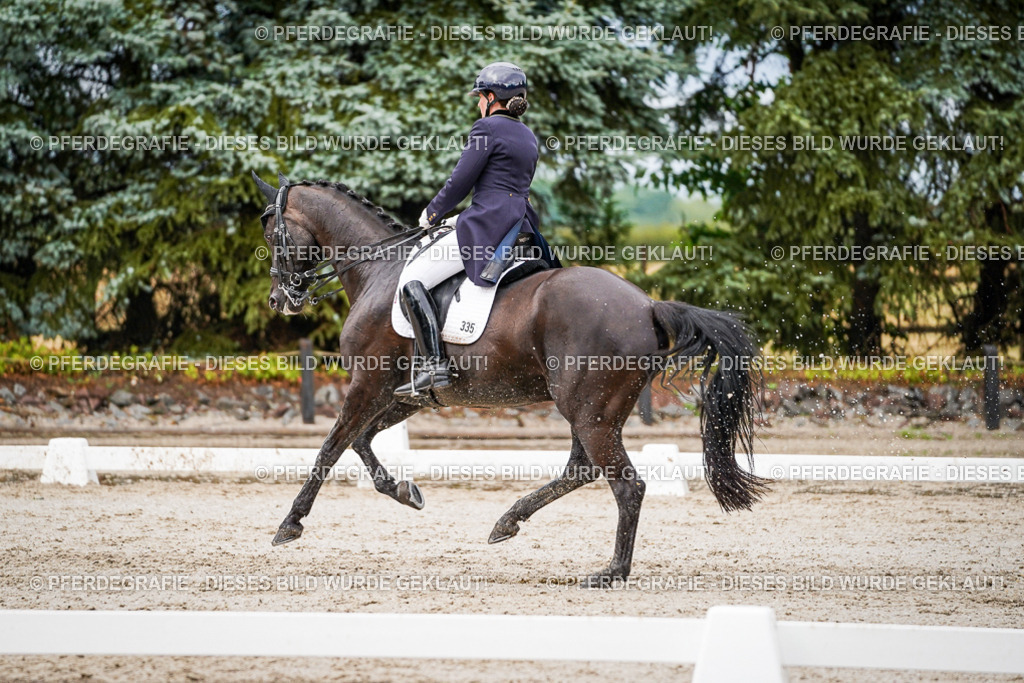 DSC09940 | Pferdegrafie