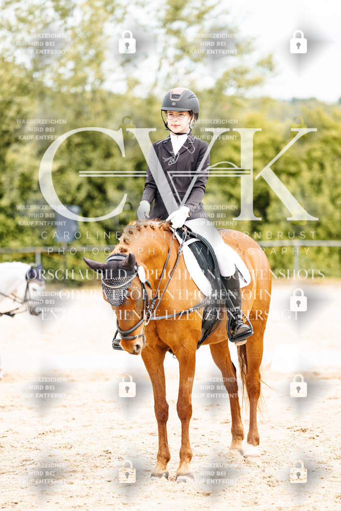 CK904710 | Turnierfotografie Pferdefotografie Trier Rheinland-Pfalz Pferdesport Reitsport Tierfotografie Sportfotografie Pferdevideo Pferdevideografie Equestrianvideography equestrianphotography  - Realisiert mit Pictrs.com