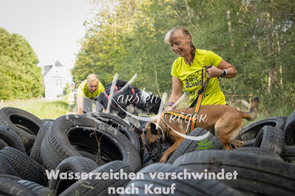 1536_ZZ91830-Bearbeitet | kk-dogfotos