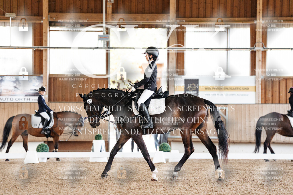 CK909310 | Turnierfotografie Pferdefotografie Trier Rheinland-Pfalz Pferdesport Reitsport Tierfotografie Sportfotografie Pferdevideo Pferdevideografie Equestrianvideography equestrianphotography  - Realized with Pictrs.com