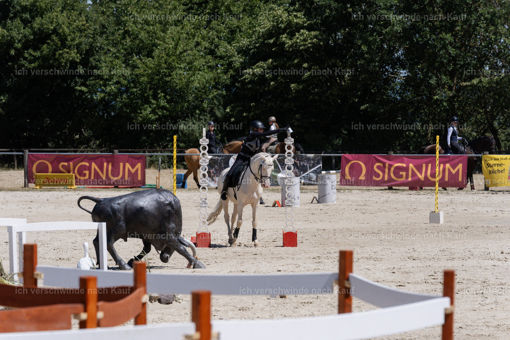 WM_SP_76_SinaFilmArt_IN06665 | working equitationturnier fotograf videograf stoibphotography marixx film working equitation deutschland reitsport turnierfotografie eventfotografie equestrian events