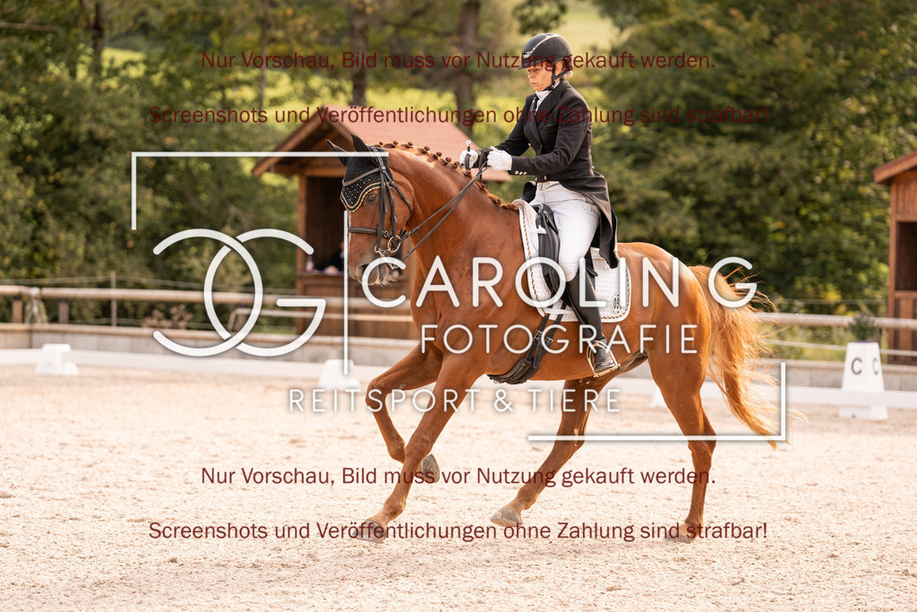DSC05646 | Turnierfotografin Carolin Gieschke, Turnierfotografie Carolin G Fotografie, Turnierfotos Kirchheim/Teck, Esslingen, Stuttgart, Bodenseekreis