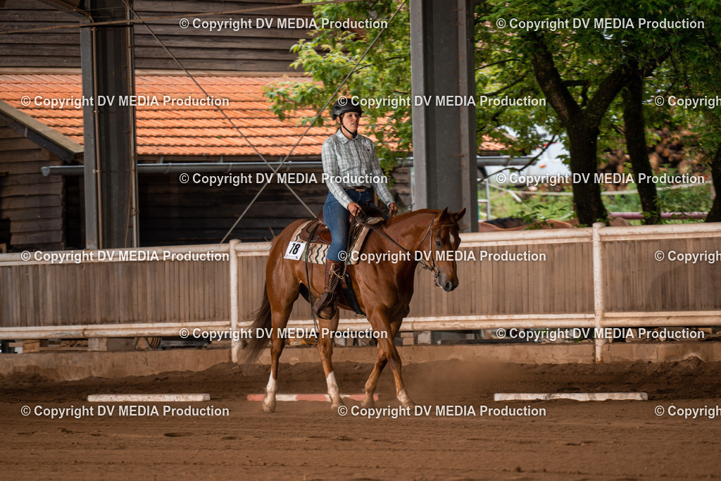 Erbach Tag 2-373 | dv-media-shop - Realisiert mit Pictrs.com