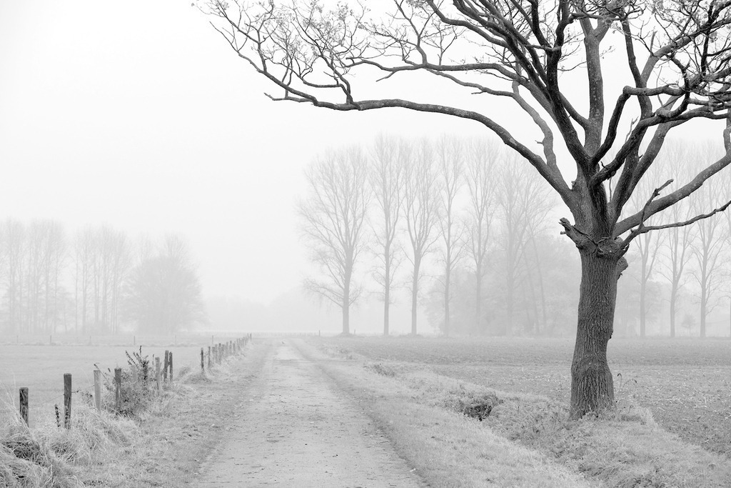 111124-054 | Europa, DEU, Deutschland, Nordrhein Westfalen, NRW, Rheinland, Niederrhein, Wachtendonk, Landschaft, Dunst, Morgenstimmung, Weg, Feldweg, , Kategorien und Themen, Natur, Umwelt, Landschaft, Landschaftsfotos, Landschaftsfotografie, Landschaftsfoto, Wetter, Wetterelemente, Wetterlage, Wetterkunde, Witterung, Witterungsbedingungen, Wettererscheinungen, Meteorologie, Wettervorhersage


[Fuer die Nutzung gelten die jeweils gueltigen Allgemeinen Liefer-und Geschaeftsbedingungen. Nutzung nur gegen Verwendungsmeldung und Nachweis. Download der AGB unter http://www.image-box.com oder werden auf Anfrage zugesendet. Freigabe ist vorher erforderlich. Jede Nutzung des Fotos ist honorarpflichtig gemaess derzeit gueltiger MFM Liste - Kontakt, Uwe Schmid-Fotografie, Duisburg, Tel. (+49).2065.677997, archiv@image-box.com, www.image-box.com] - Realisiert mit Pictrs.com