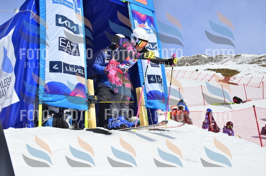 _ELE1101 | holidayphoto