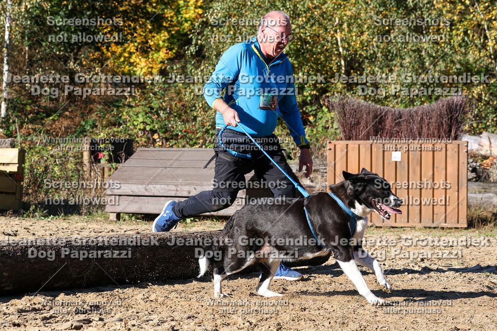 Dog Paparazzi - Strongdog 10-25-2202 | Dog Paparazzi Jeanette Grottendiek Fotografie & Videografie - Realisiert mit Pictrs.com