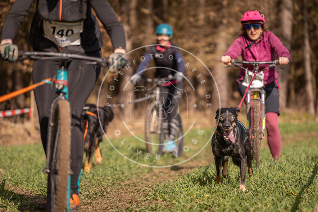 DV3A6129 | Hundefotografie, Tierfotograf, Pfotenfotografie, Fotoshooting Hund, Hunde Portrait, Hundesport, Hundeportraits, Heideshooting, Hunde, Sportfotograf, Hundefotograf, Turnierhundsport, THS,  - Realisiert mit Pictrs.com