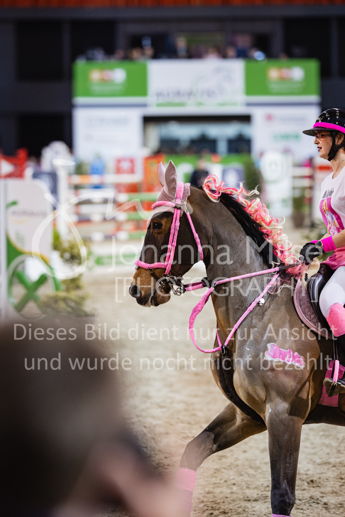 240113_Münster_Kostümspringen-410 | Deine schönsten Turniermomente als professionelle Fotos! Entdecke hochwertige Pferdesport-Fotografie im Online-Shop. Jetzt Fotos finden & bestellen!