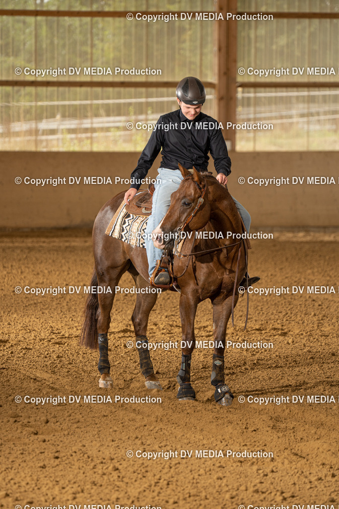 LAU01674 | dv-media-shop - Realisiert mit Pictrs.com