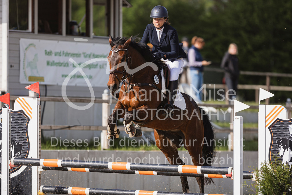 250503_SpengeW_A2-Spr-621 | Deine schönsten Turniermomente als professionelle Fotos! Entdecke hochwertige Pferdesport-Fotografie im Online-Shop. Jetzt Fotos finden & bestellen!