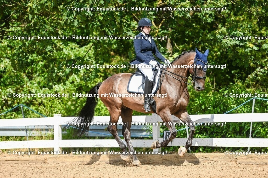 20230716_01_Dressurprüfung Kl.M_0303 | equistock