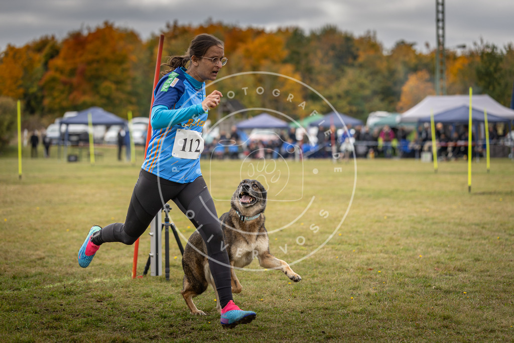 Pfotenfotografie_DV3A6851 | Hundefotografie, Tierfotograf, Pfotenfotografie, Fotoshooting Hund, Hunde Portrait, Hundesport, Hundeportraits, Heideshooting, Hunde, Sportfotograf, Hundefotograf, Turnierhundsport, THS,  - Realisiert mit Pictrs.com