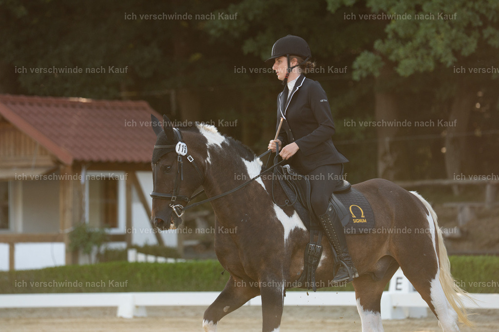 WA_DR_115_SinaFilmArt_IN00157 | working equitationturnier fotograf videograf stoibphotography marixx film working equitation deutschland reitsport turnierfotografie eventfotografie equestrian events