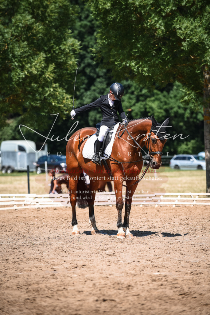 DSC_2980 | Pferde- und Turnierfotografie in Westsachsen. Pferdeportraits, Auftragszeichnungen und intuitive Kunst.