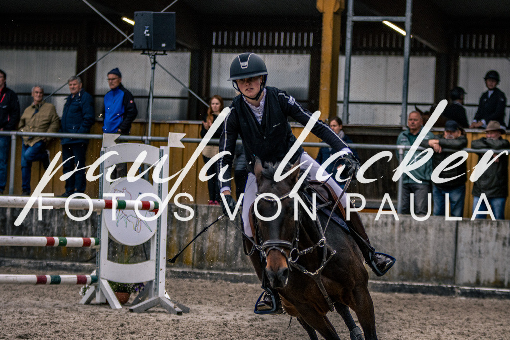 IMG_6132 | Erleben Sie dynamische Sport- und emotionale Tierfotografie in Süddeutschland mit Fotos von Paula. Spezialisiert auf Pferde- und Hundefotografie sowie Sportevents. Kontaktieren Sie mich für einzigartige und ausdrucksstarke Bilder Ihrer besonderen Momente. - Realisiert mit Pictrs.com