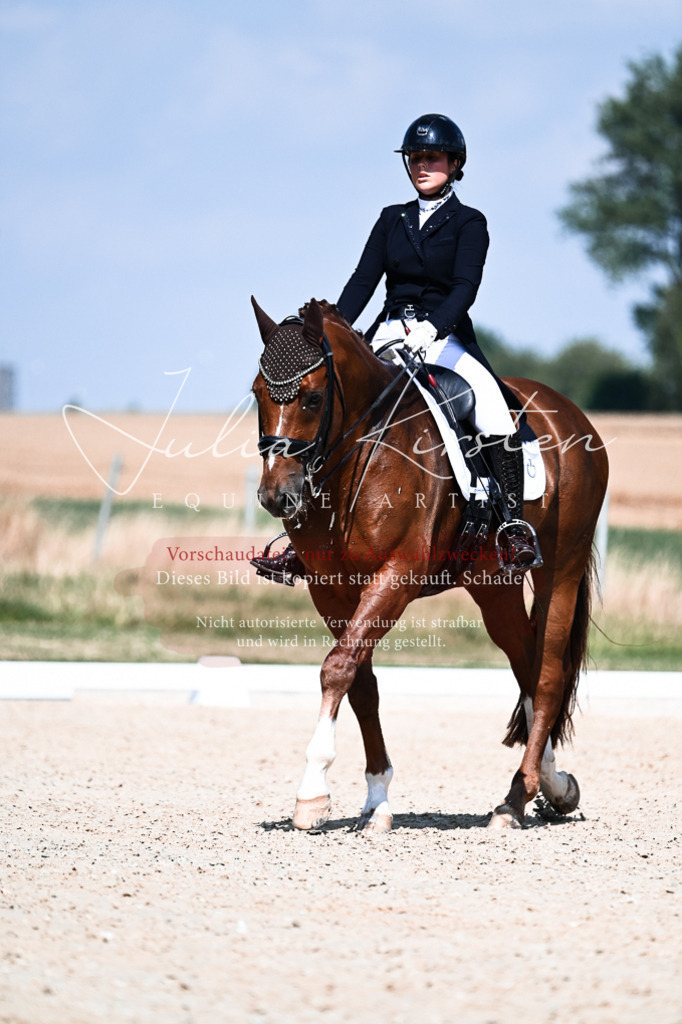 DSC_2856 | Pferde- und Turnierfotografie in Westsachsen. Pferdeportraits, Auftragszeichnungen und intuitive Kunst.