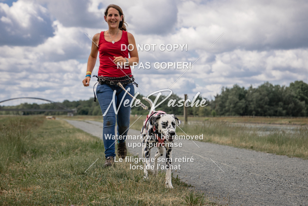 nelerasche_BuHu2026_SaCC1100-1200_79 | nelerasche