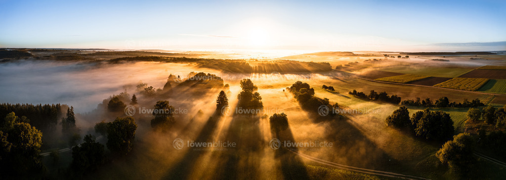 Ostalb bei Altheim im Nebel | löwenblicke | shop
