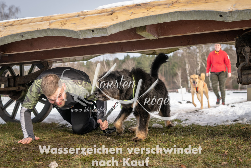 0859_ZZ93430-3 | kk-dogfotos